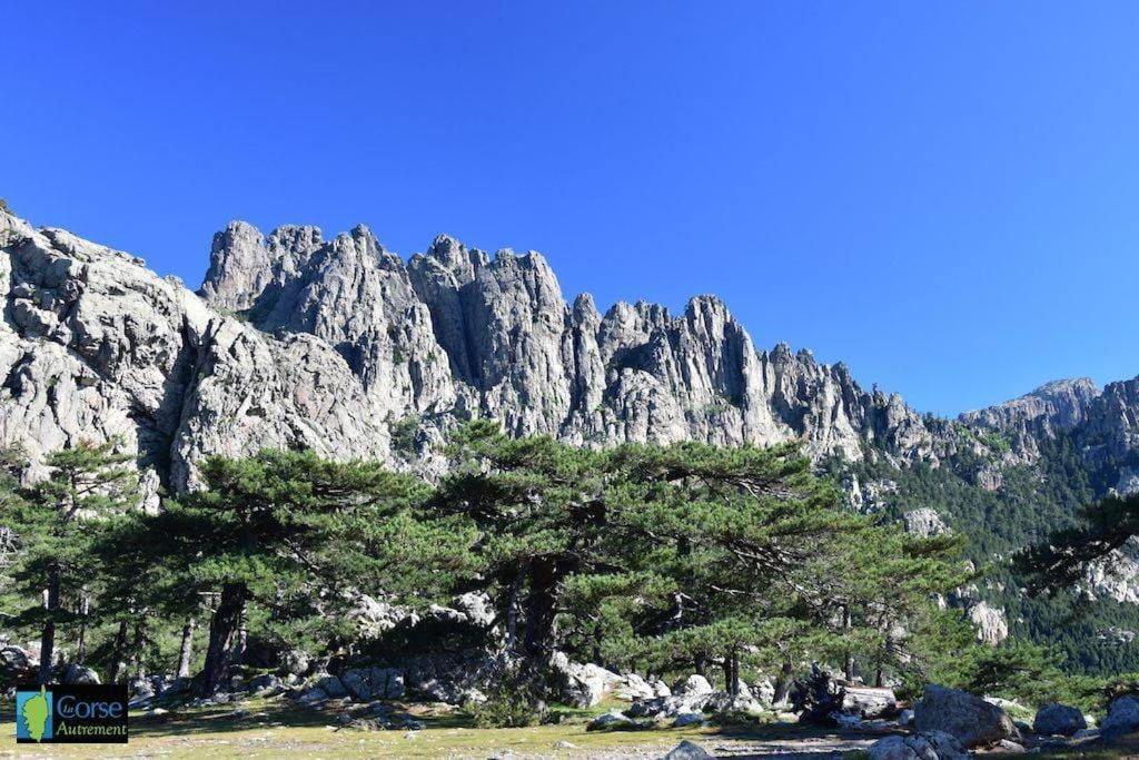 Villa Vista Mare 11 Favone Conca Kültér fotó