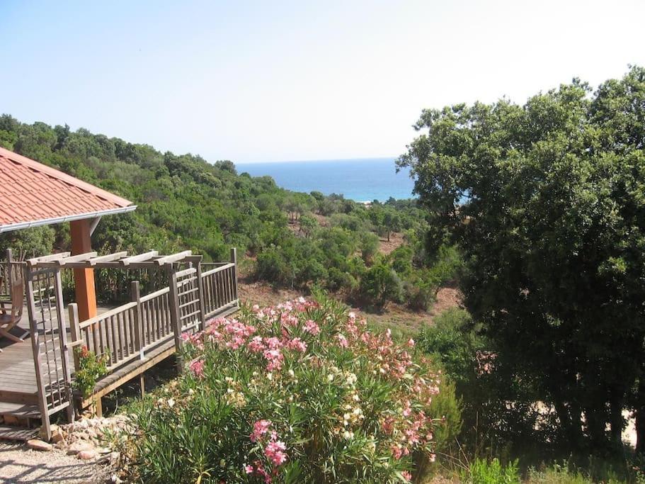 Villa Vista Mare 11 Favone Conca Kültér fotó