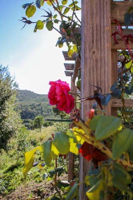 Villa Vista Mare 11 Favone Conca Kültér fotó